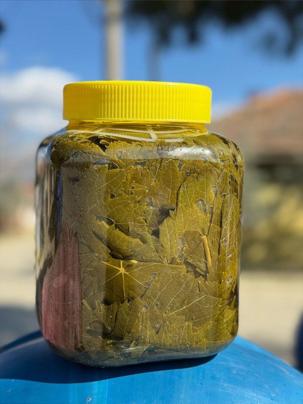 Salamura Asma Yaprak 3'lük Bidon