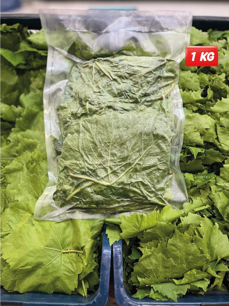 Vakumlu Taze Asma Yaprak 1kg
